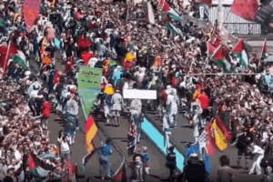protest carpet 5
